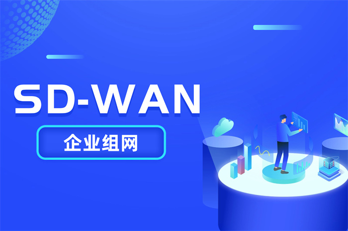 企业常见的三种组网方式