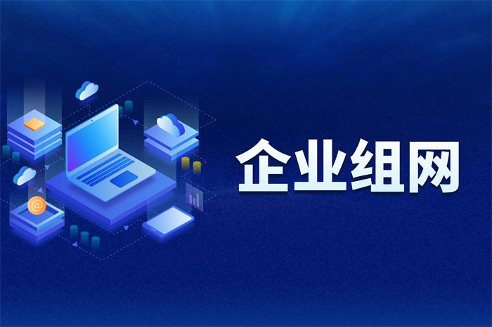 企业组网有哪些方式